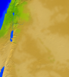 Jordan Vegetation 715x800